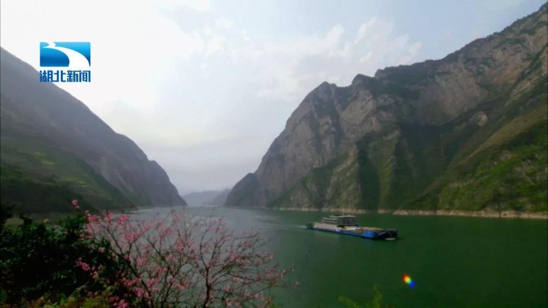 年轻帅的像教科书,如今却“毁容式”变老,这5位男星越活越走样